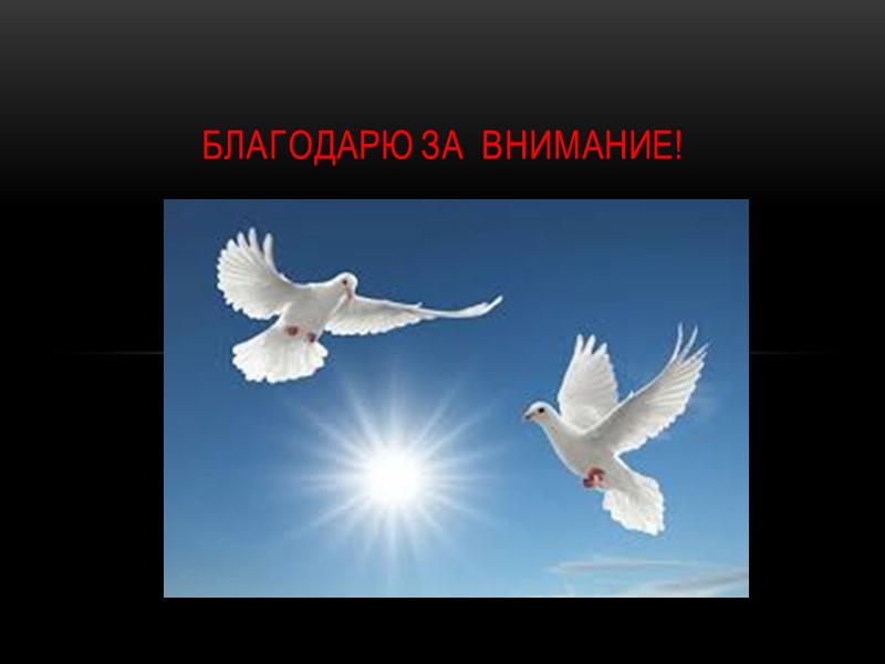 Благодарю за  внимание!